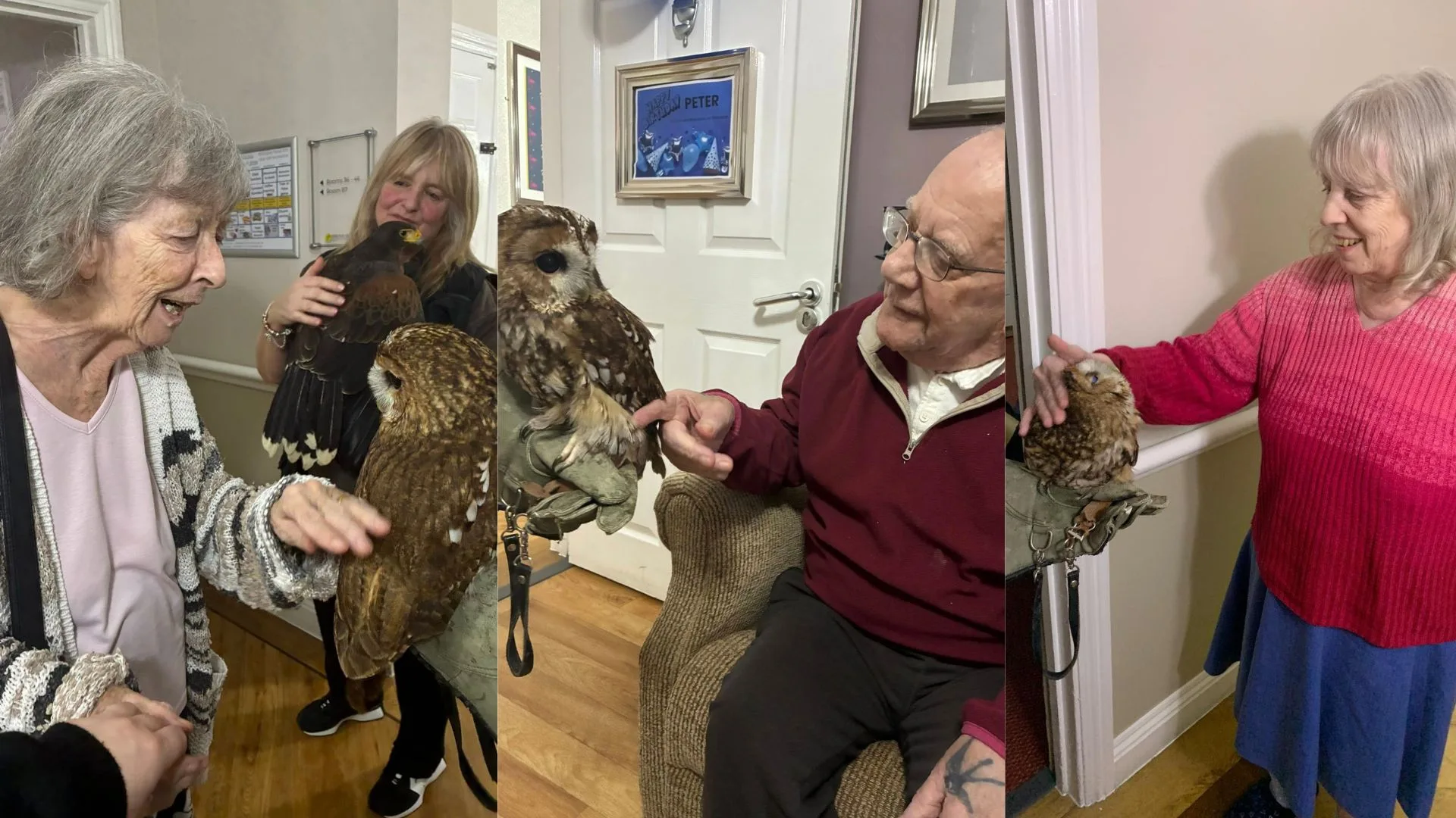 Press release images collage templates 91 jpg