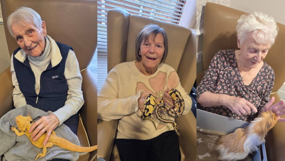 Press release images collage templates 95