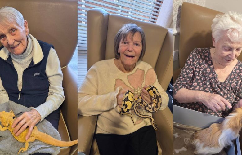 Westwood Residents Delighted by Visit from Mobile Zoo 11 Press release images collage templates 95