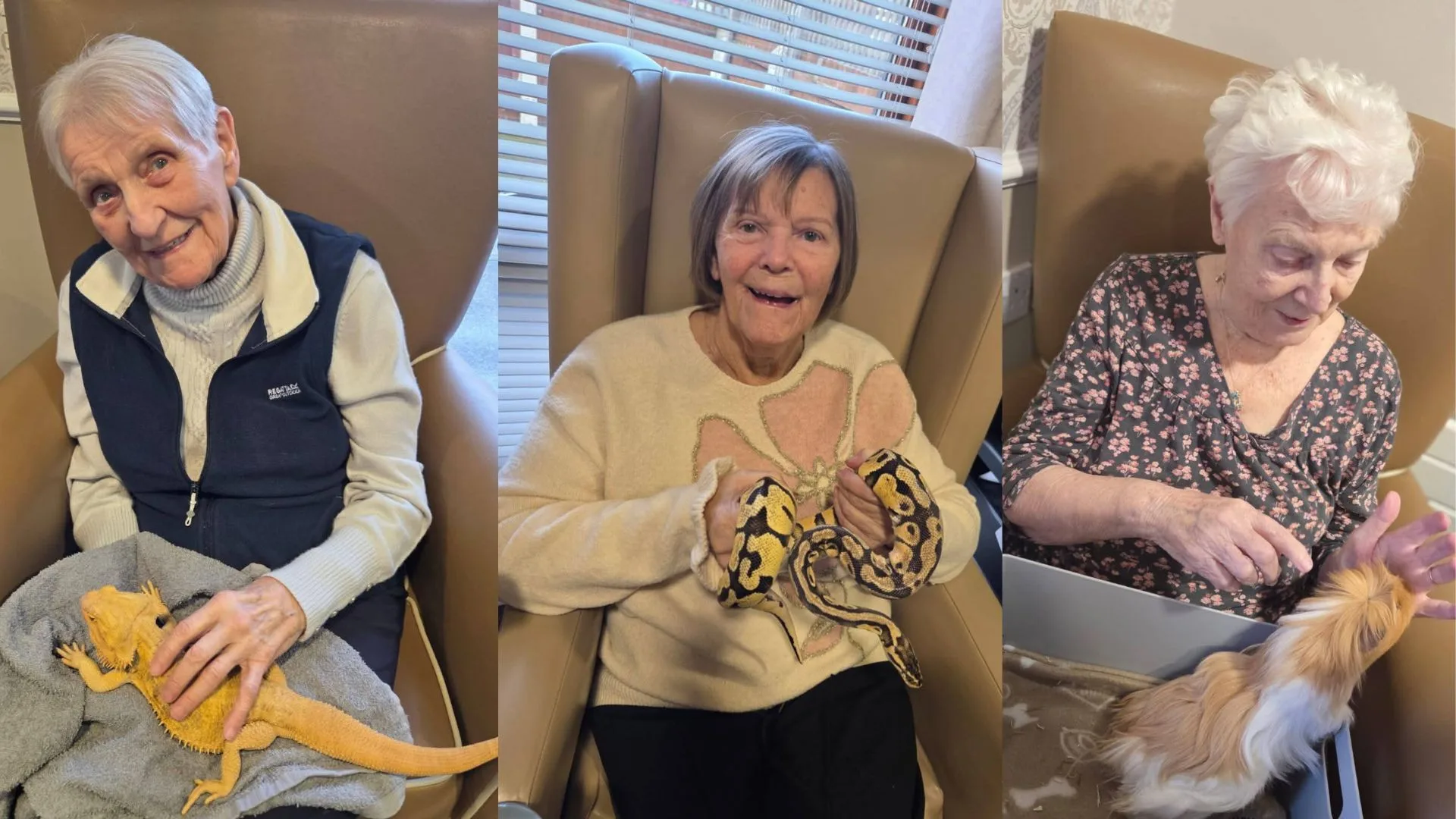 Press release images collage templates 95 jpg