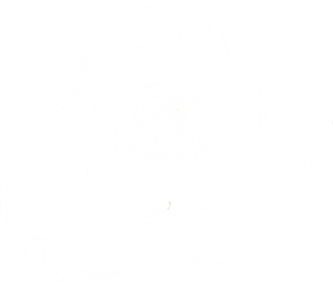 flower2