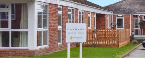 Blackthorns 1