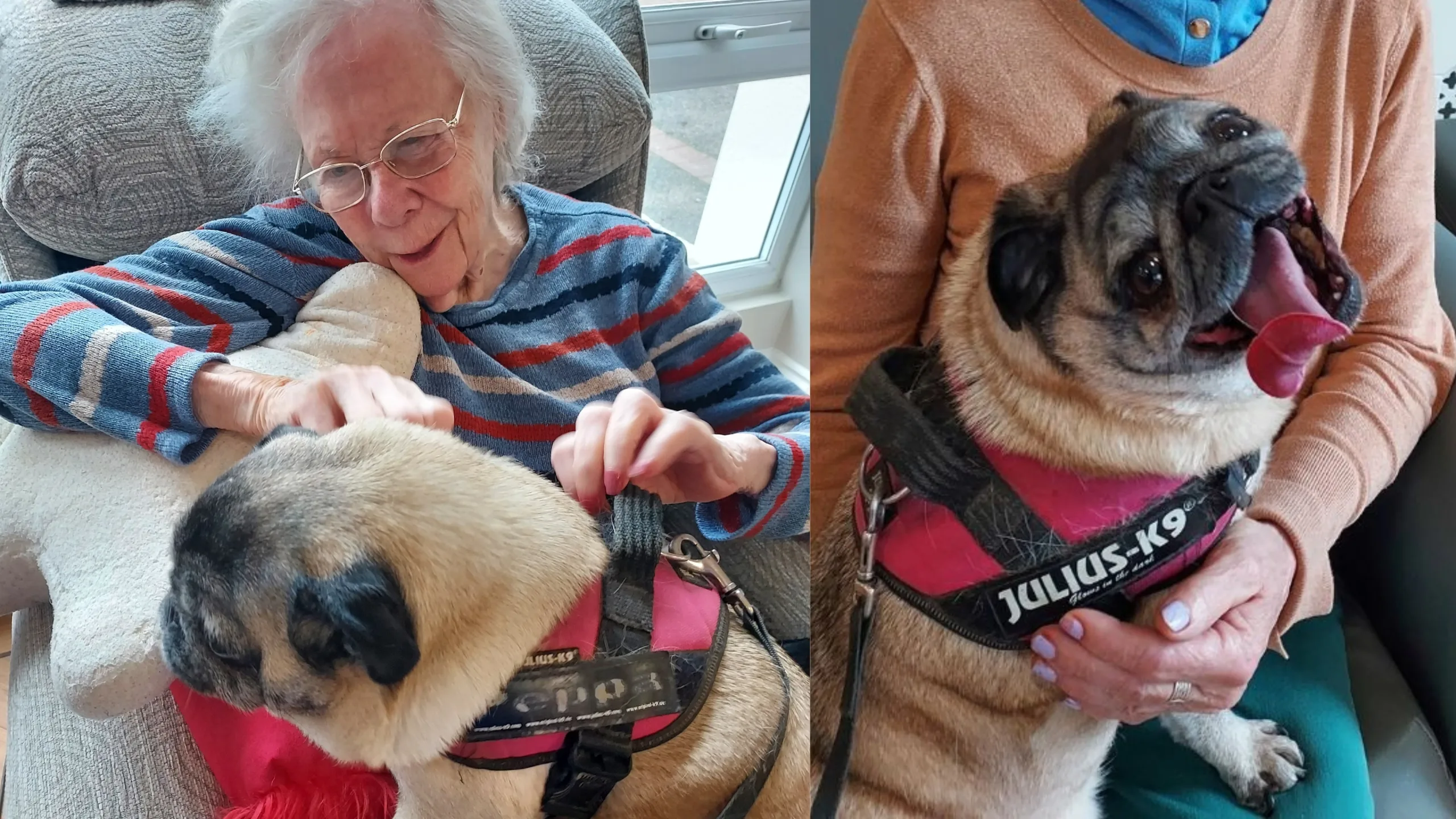 Freda Jack Williams 1 scaled jpg