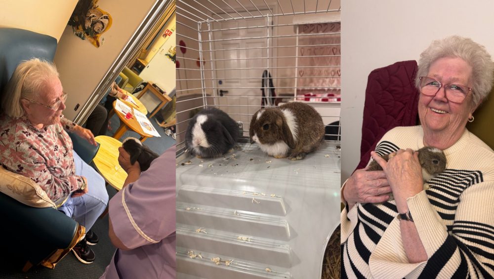 Press release images collage templates 2026 02 04T102132.554