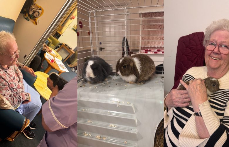 Press release images collage templates 2026 02 04T102132.554