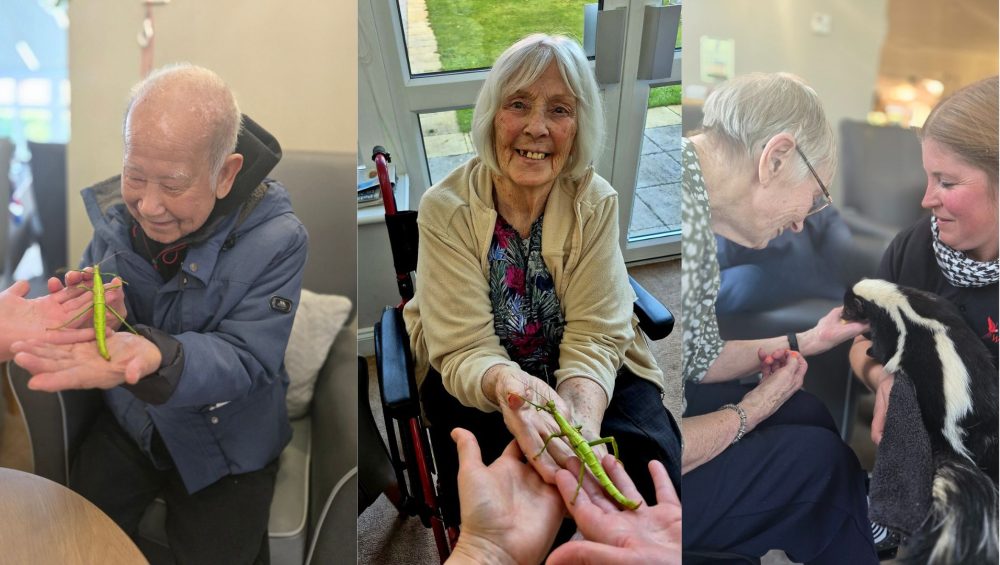 Press release images collage templates 2026 02 05T111407.204