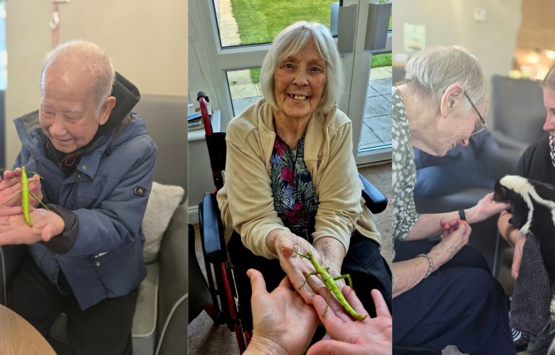 Press release images collage templates 2026 02 05T111407.204