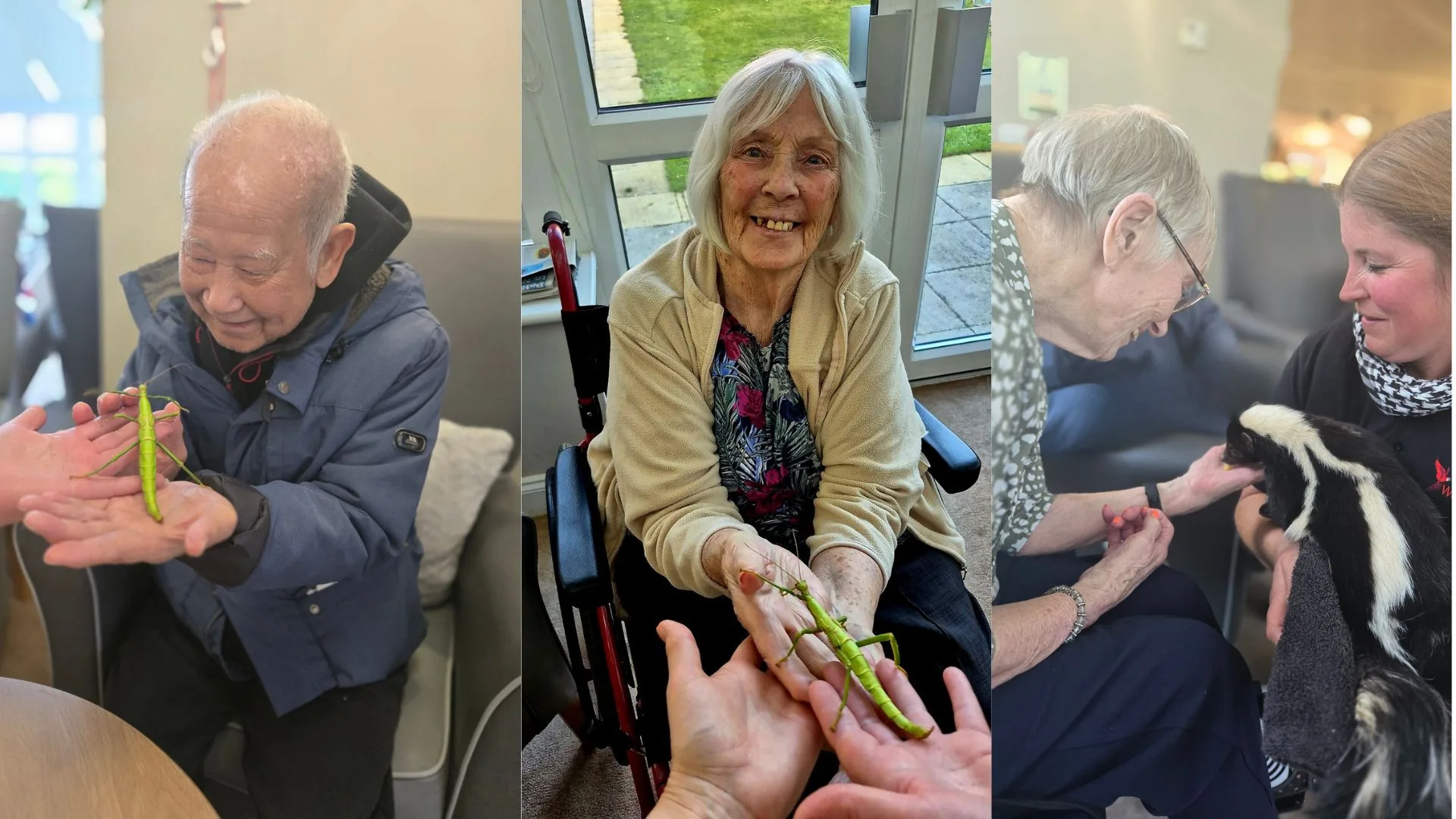 Press release images collage templates 2026 02 05T111407.204 jpg