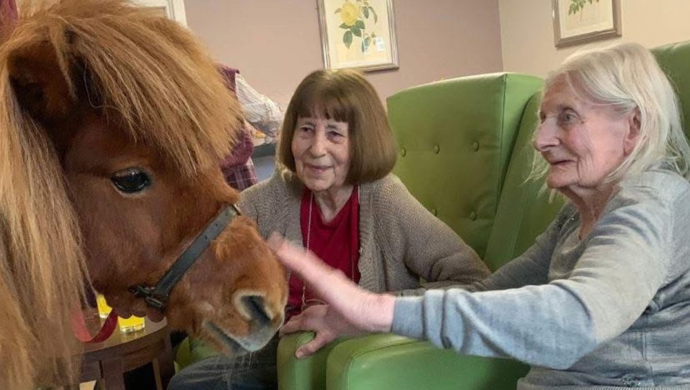 Press release images collage templates 2026 02 09T100857.140