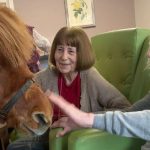 Press release images collage templates 2026 02 09T100857.140