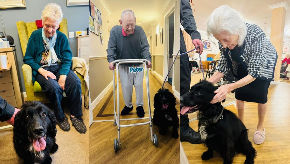 Press release images collage templates 2026 02 11T140905.843