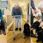 Press release images collage templates 2026 02 11T140905.843