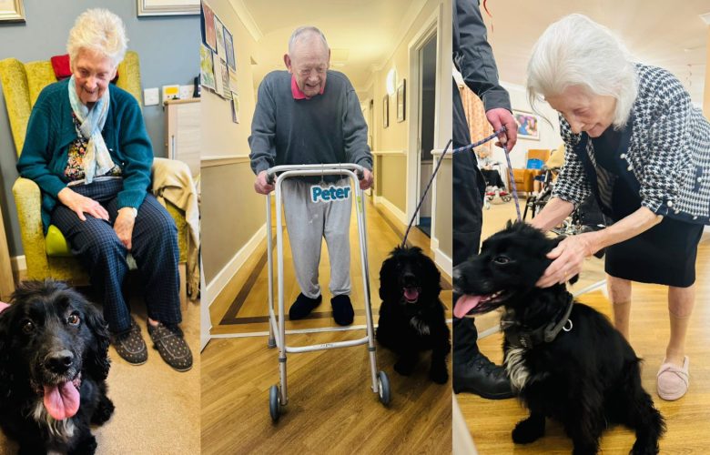 Press release images collage templates 2026 02 11T140905.843