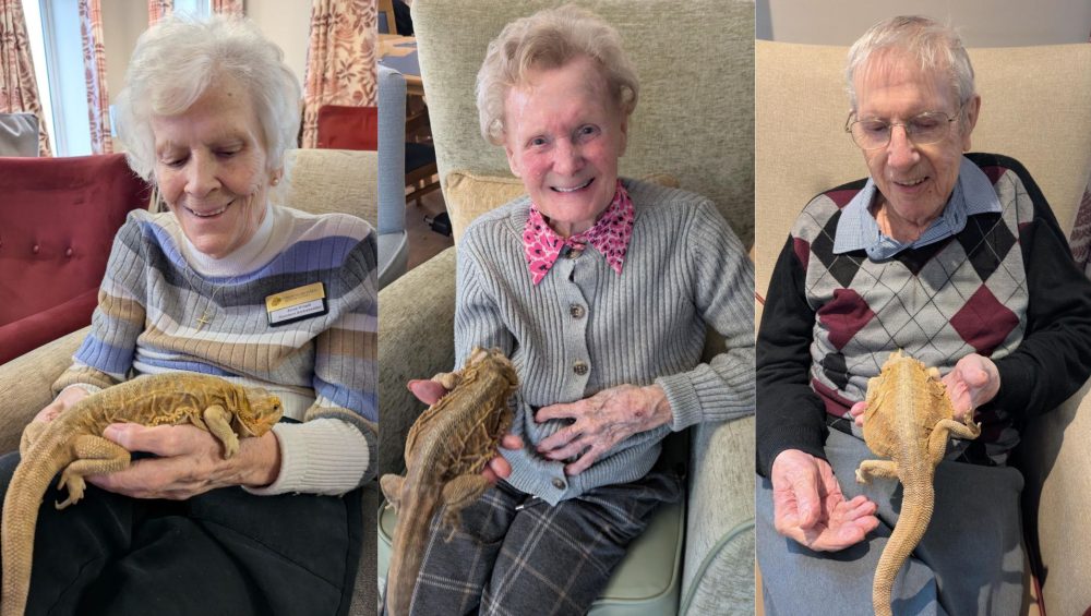 Press release images collage templates 2026 02 13T114421.117