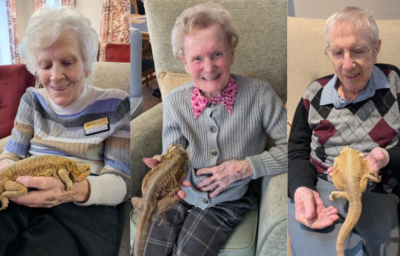 Liberty House Residents Meet Boris the Bearded Dragon 3 Press release images collage templates 2026 02 13T114421.117