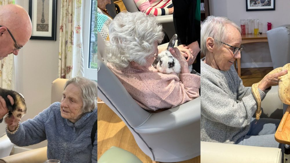 Press release images collage templates 2026 02 13T145747.946