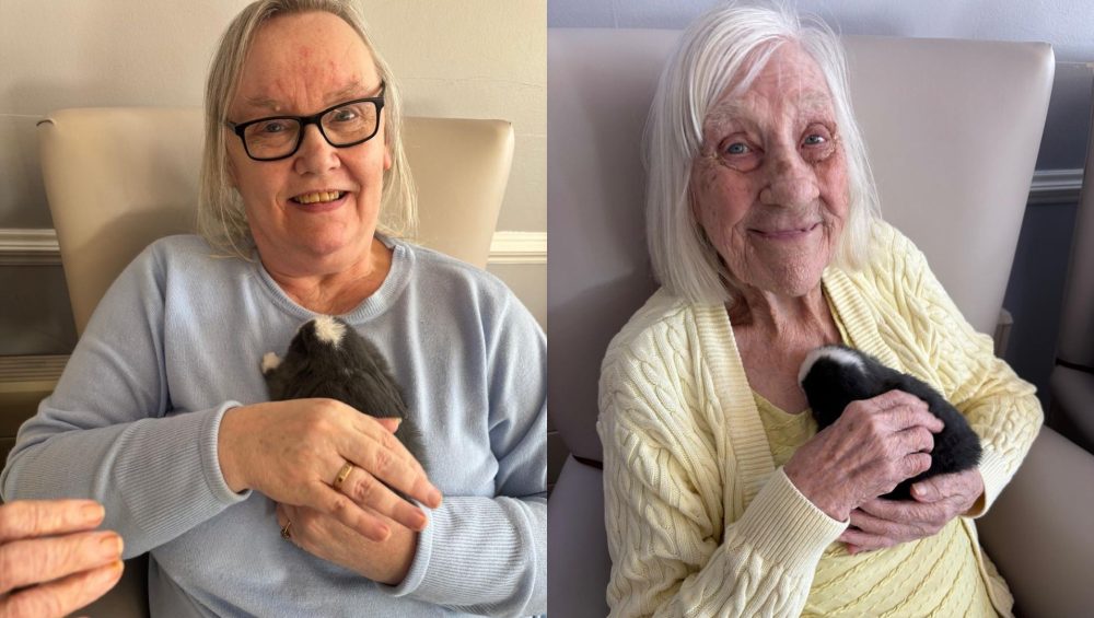 Highview Lodge Welcomes Adorable Baby Bunnies for Therapeutic Visit 1 Press release images collage templates 2026 02 13T151523.998