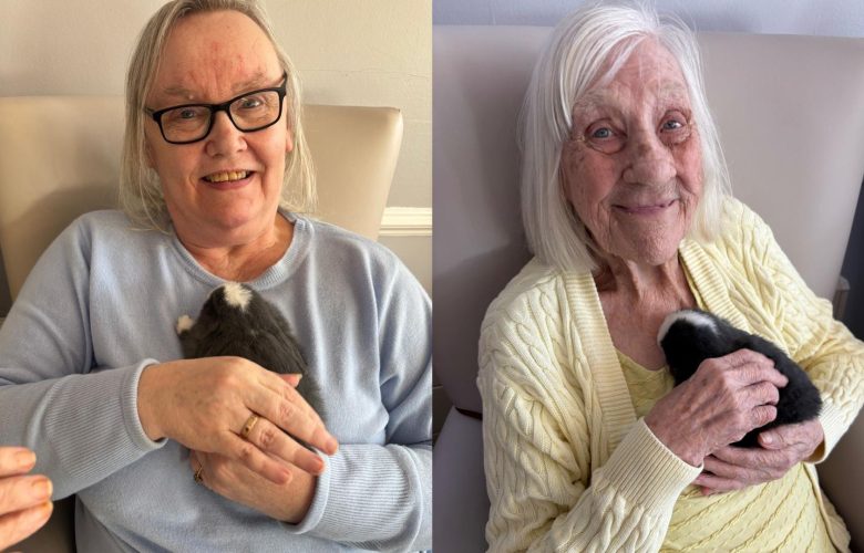 Highview Lodge Welcomes Adorable Baby Bunnies for Therapeutic Visit 2 Press release images collage templates 2026 02 13T151523.998