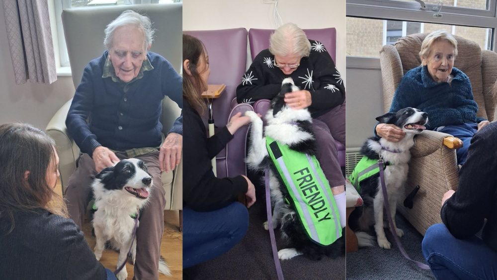 Press release images collage templates 2026 02 13T161638.833