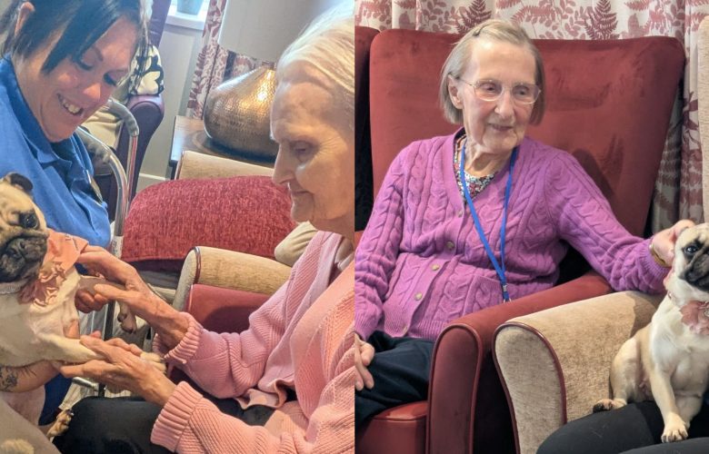 Press release images collage templates 2026 02 23T141705.253