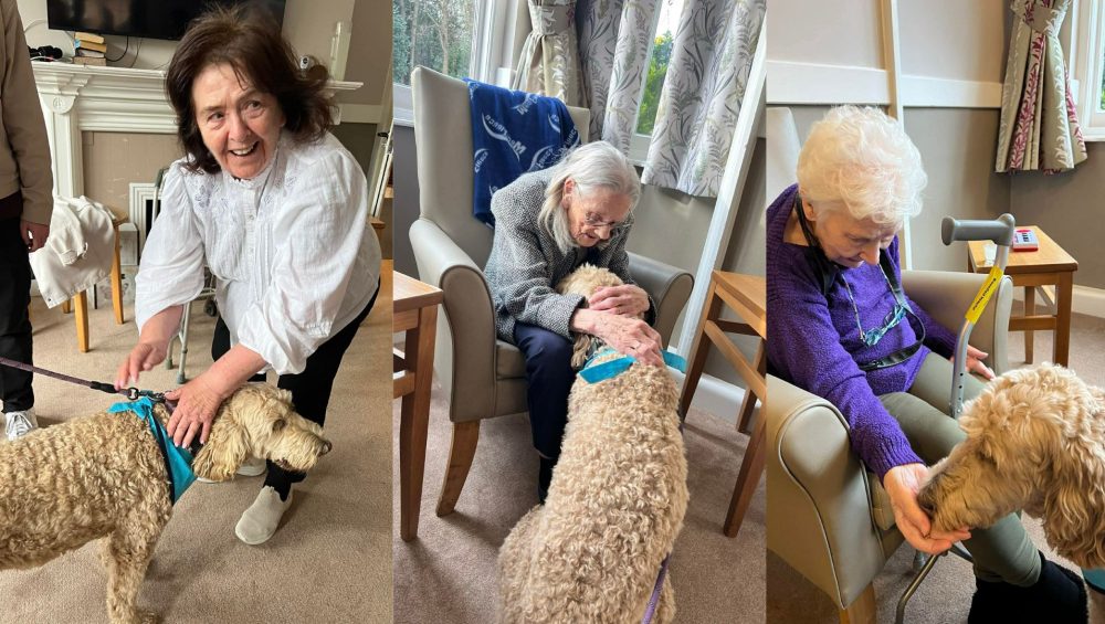 Press release images collage templates 2026 02 24T091825.187