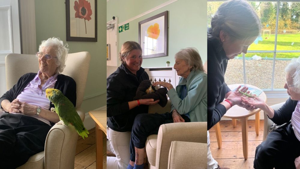 Press release images collage templates 2026 02 24T102521.928