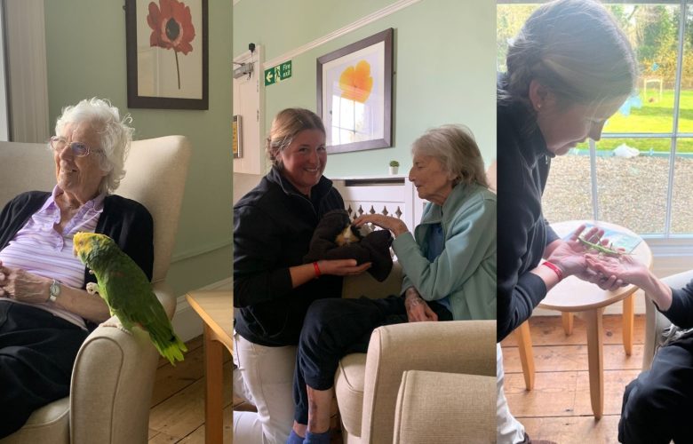 Press release images collage templates 2026 02 24T102521.928