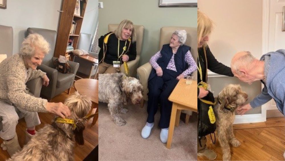 Therapy Dog Grayson Visits Greenbanks Care Home 1 Press release images collage templates 2026 02 24T105122.580