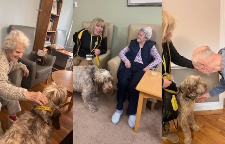 Press release images collage templates 2026 02 24T105122.580