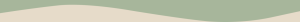 bg 01 1536x112