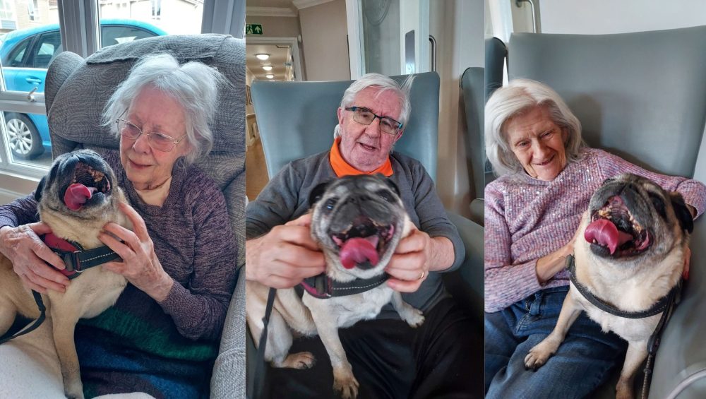 Press release images collage templates 2026 03 02T100823.731