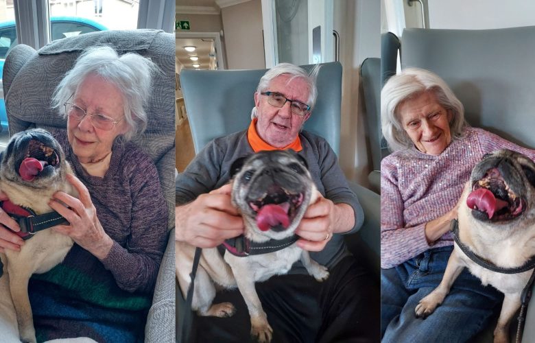 Peppa the Pug Brings Smiles and Comfort to Loganberry Lodge 6 Press release images collage templates 2026 03 02T100823.731