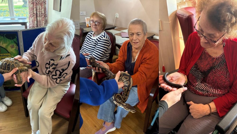 Press release images collage templates 2026 03 04T103849.422