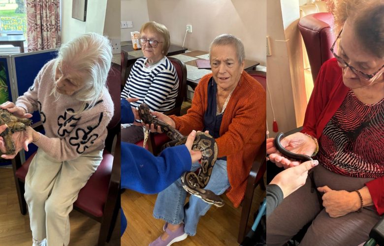 Press release images collage templates 2026 03 04T103849.422