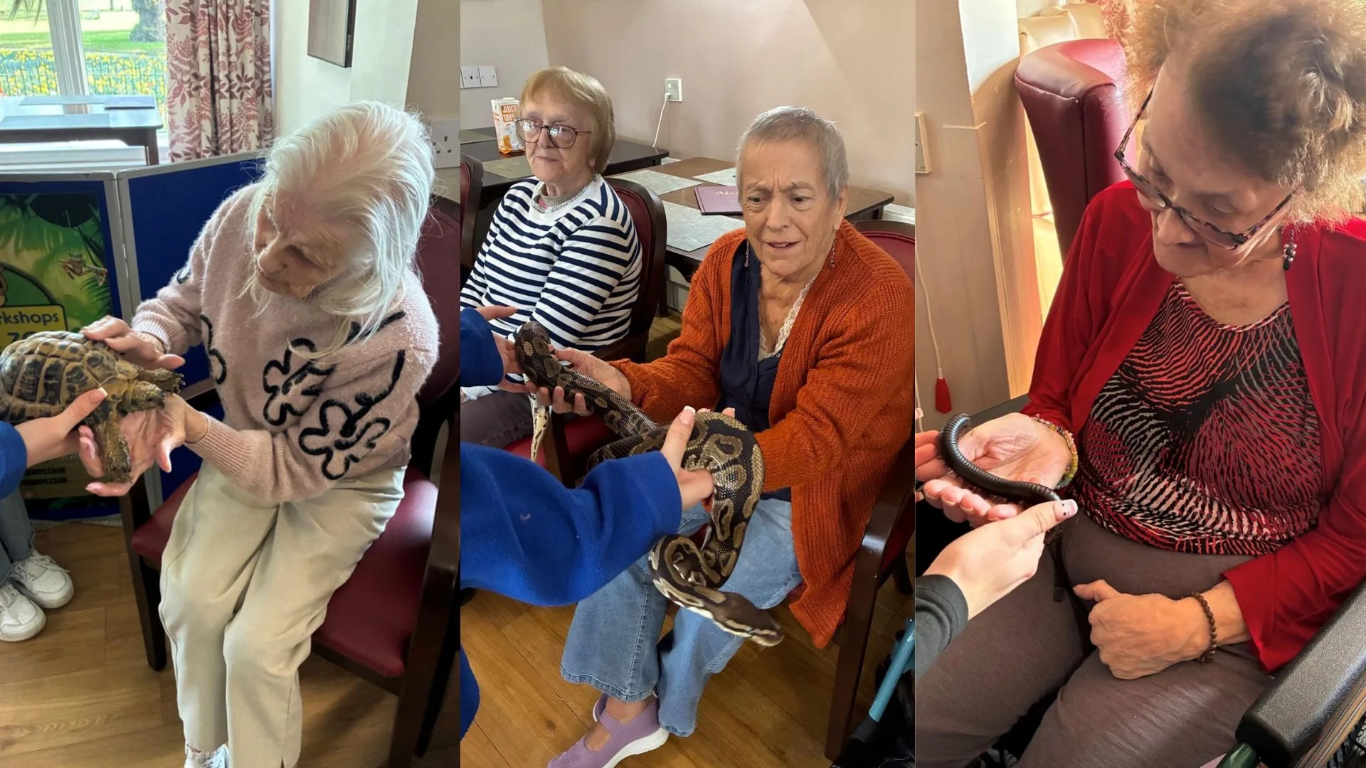 Press release images collage templates 2026 03 04T103849.422 jpg