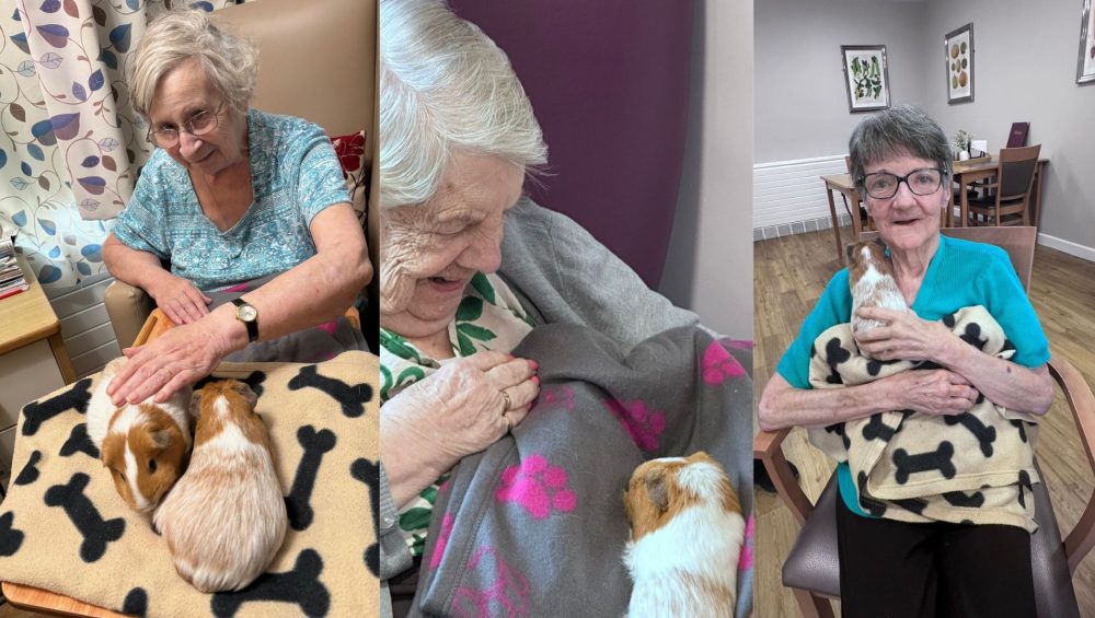 Press release images collage templates 2026 03 04T111644.611