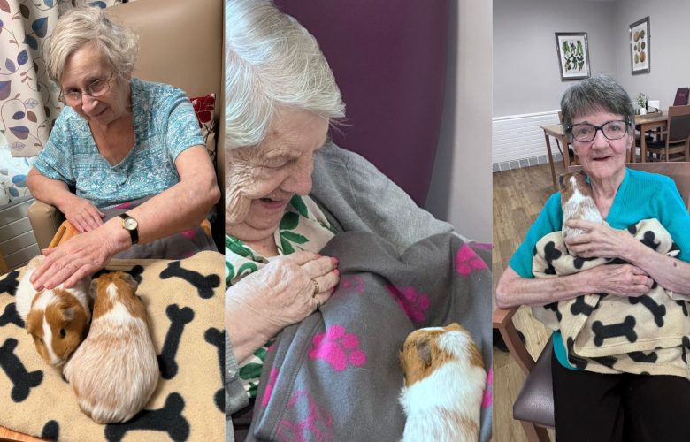 Press release images collage templates 2026 03 04T111644.611