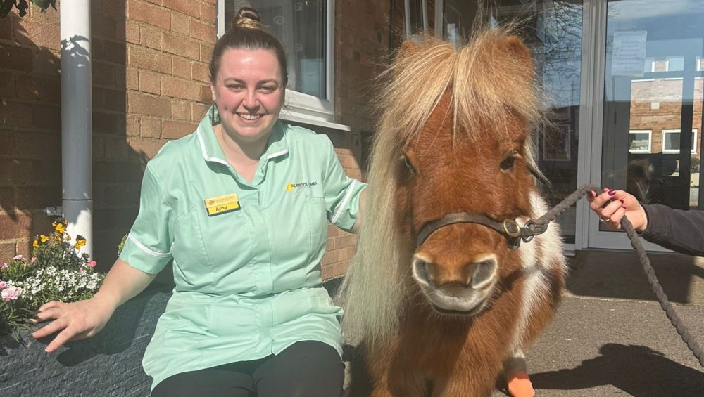 Pony Surprise Brings Smiles All Round at Brewster House 1 Press release images collage templates 2026 03 04T142049.282