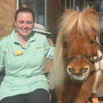 Press release images collage templates 2026 03 04T142049.282