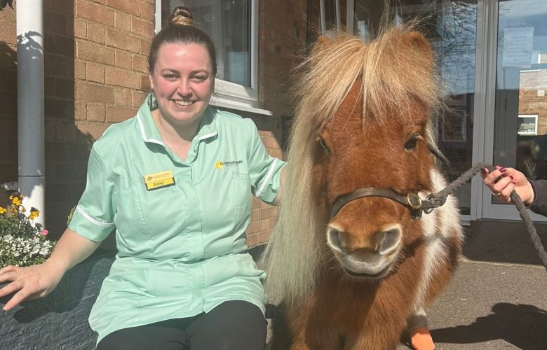 Pony Surprise Brings Smiles All Round at Brewster House 5 Press release images collage templates 2026 03 04T142049.282