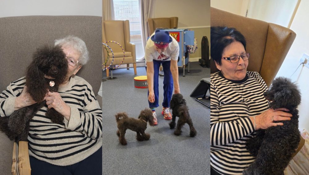 Press release images collage templates 2026 03 09T111046.976