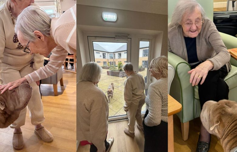 Press release images collage templates 2026 03 13T143035.527