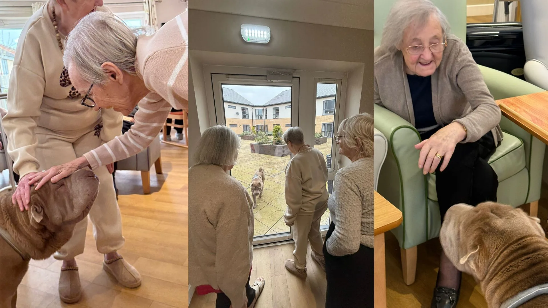 Press release images collage templates 2026 03 13T143035.527 jpg