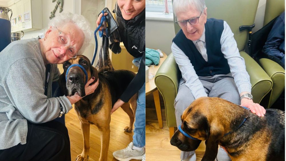 Press release images collage templates 2026 03 17T110125.059