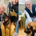 Press release images collage templates 2026 03 17T110125.059