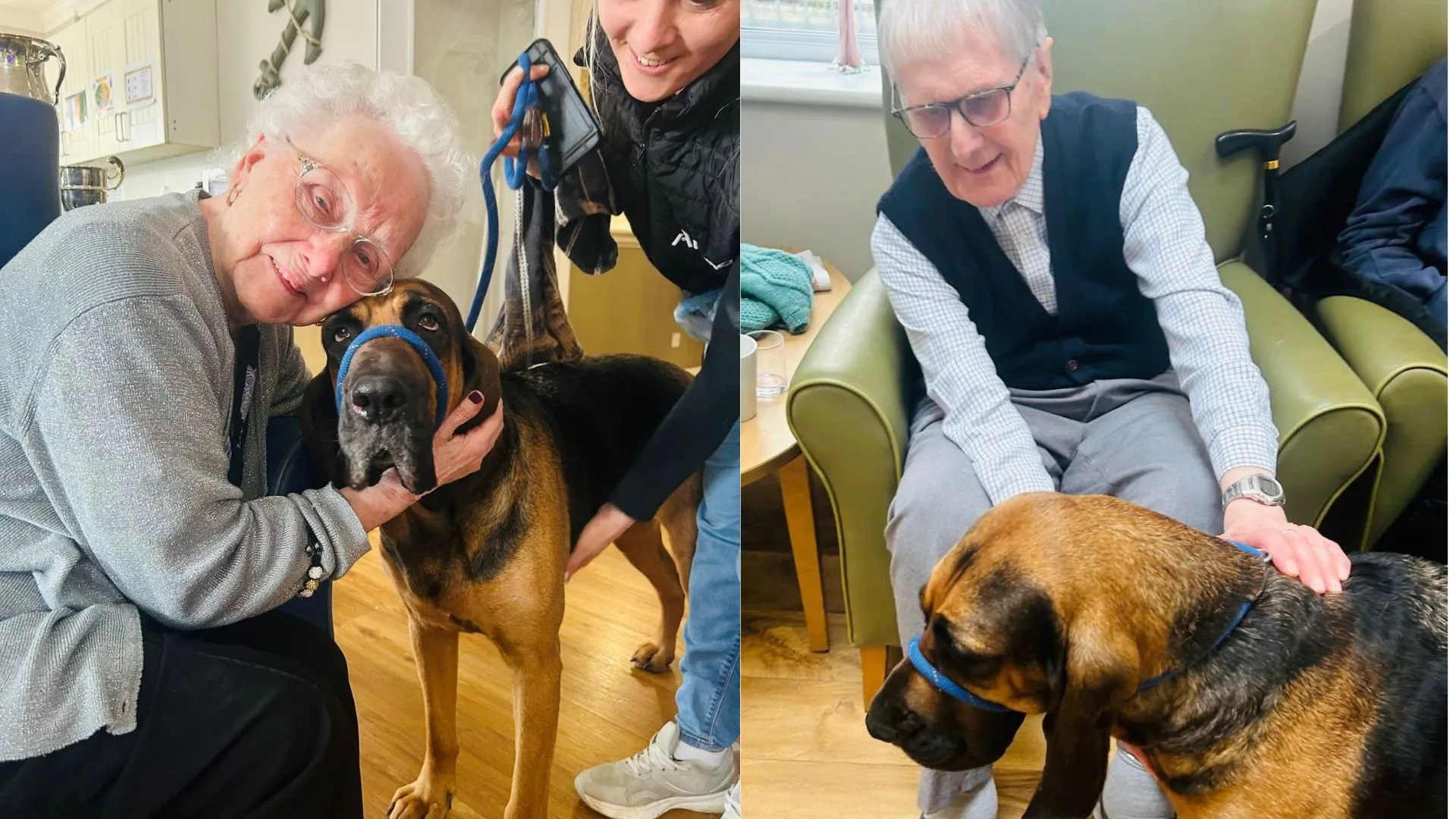 Press release images collage templates 2026 03 17T110125.059 jpg