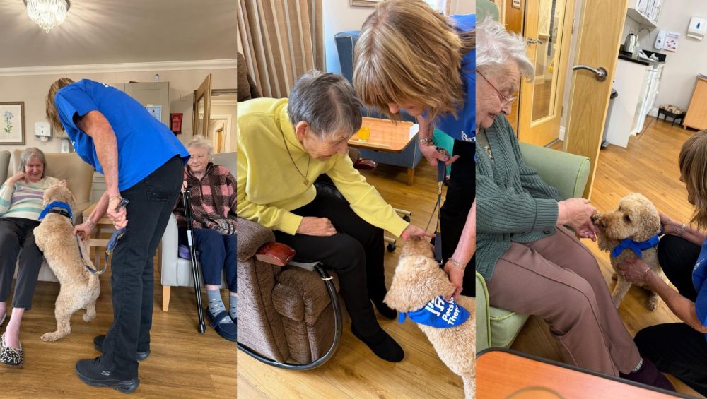 Press release images collage templates 2026 04 02T162029.461