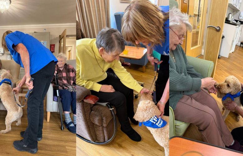 Press release images collage templates 2026 04 02T162029.461