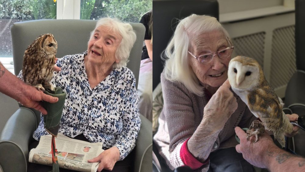 Press release images collage templates 2026 04 08T151616.153