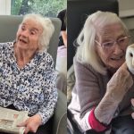 Press release images collage templates 2026 04 08T151616.153